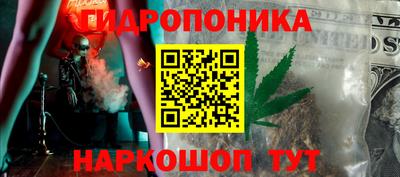 крисы Аргун