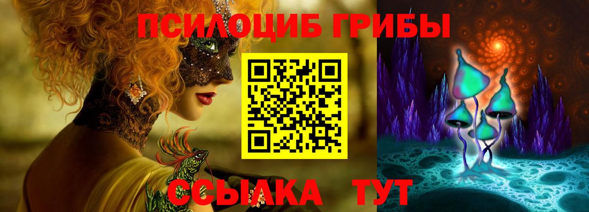Выкса  Псилоцибиновые грибы Magic Shrooms  Вход с VPN  наркота  Галлюциногенные грибы мицелий 